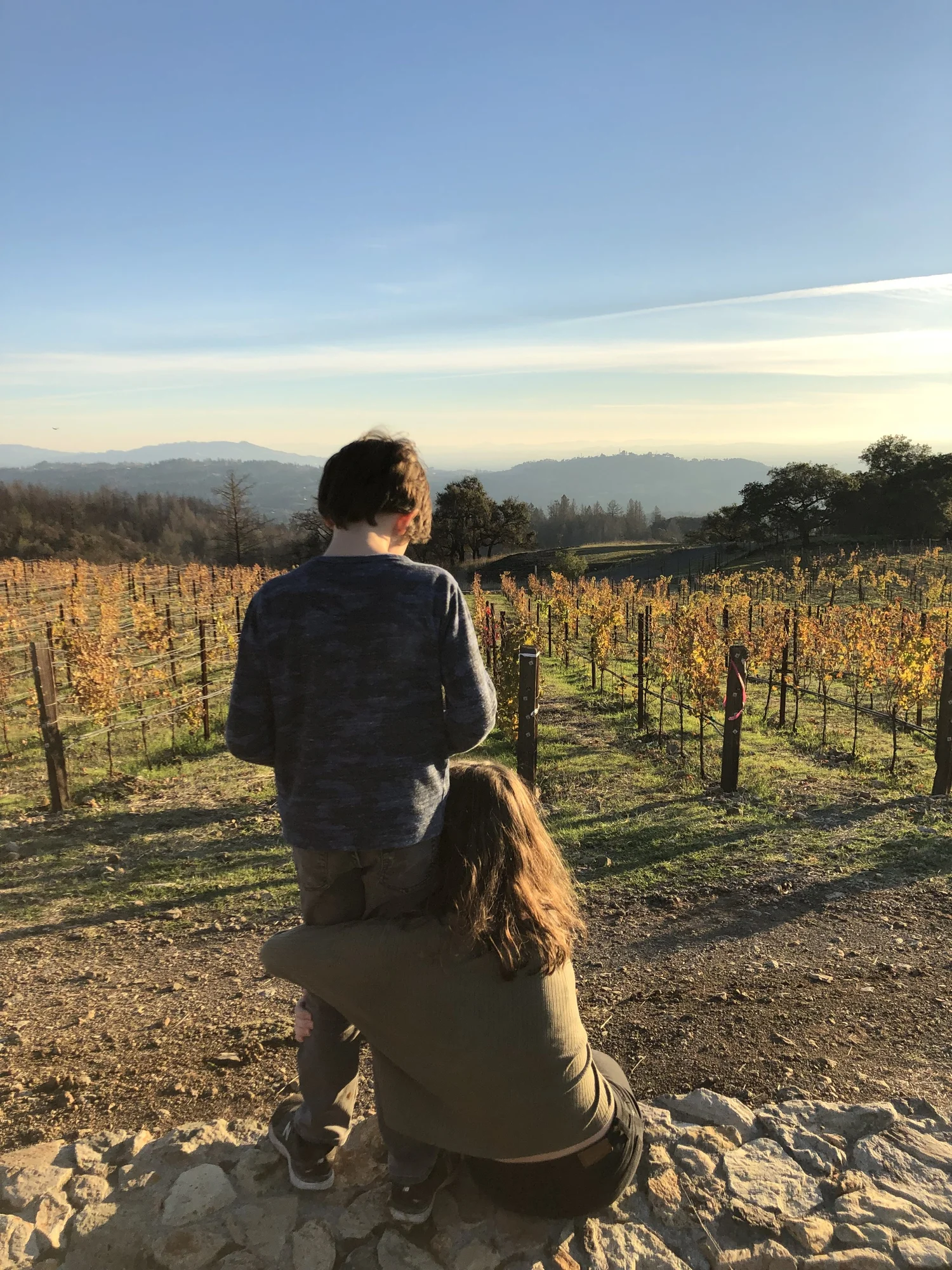 The Barrie family vineyard in Sonoma County